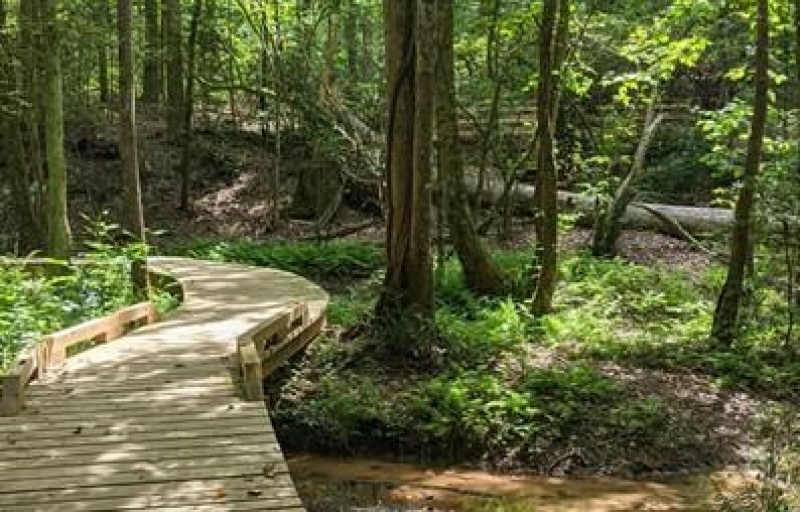 Nalley Brown Nature Park Kids in Parks